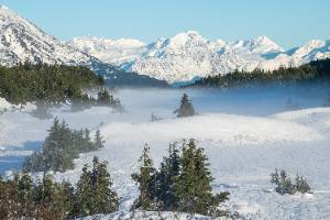 winter mountains in background with trees in foreground and blue skies